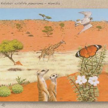 Kalahari Wildlife Panorama