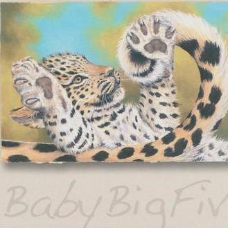 Big Baby Five, Leopard