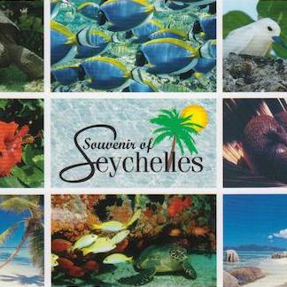 Wildlife and Beach Scenes