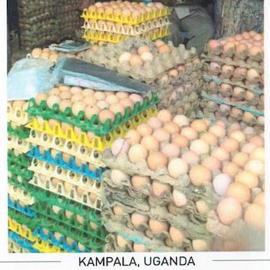 Kampala, Egg Vendor