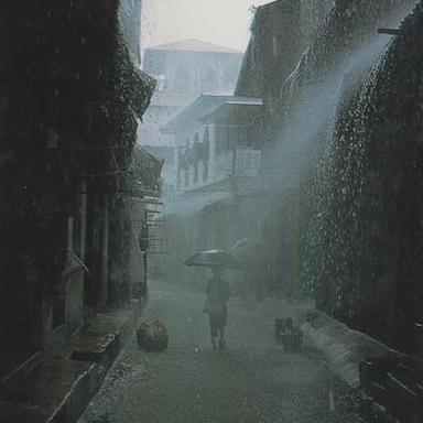 Rain Scene